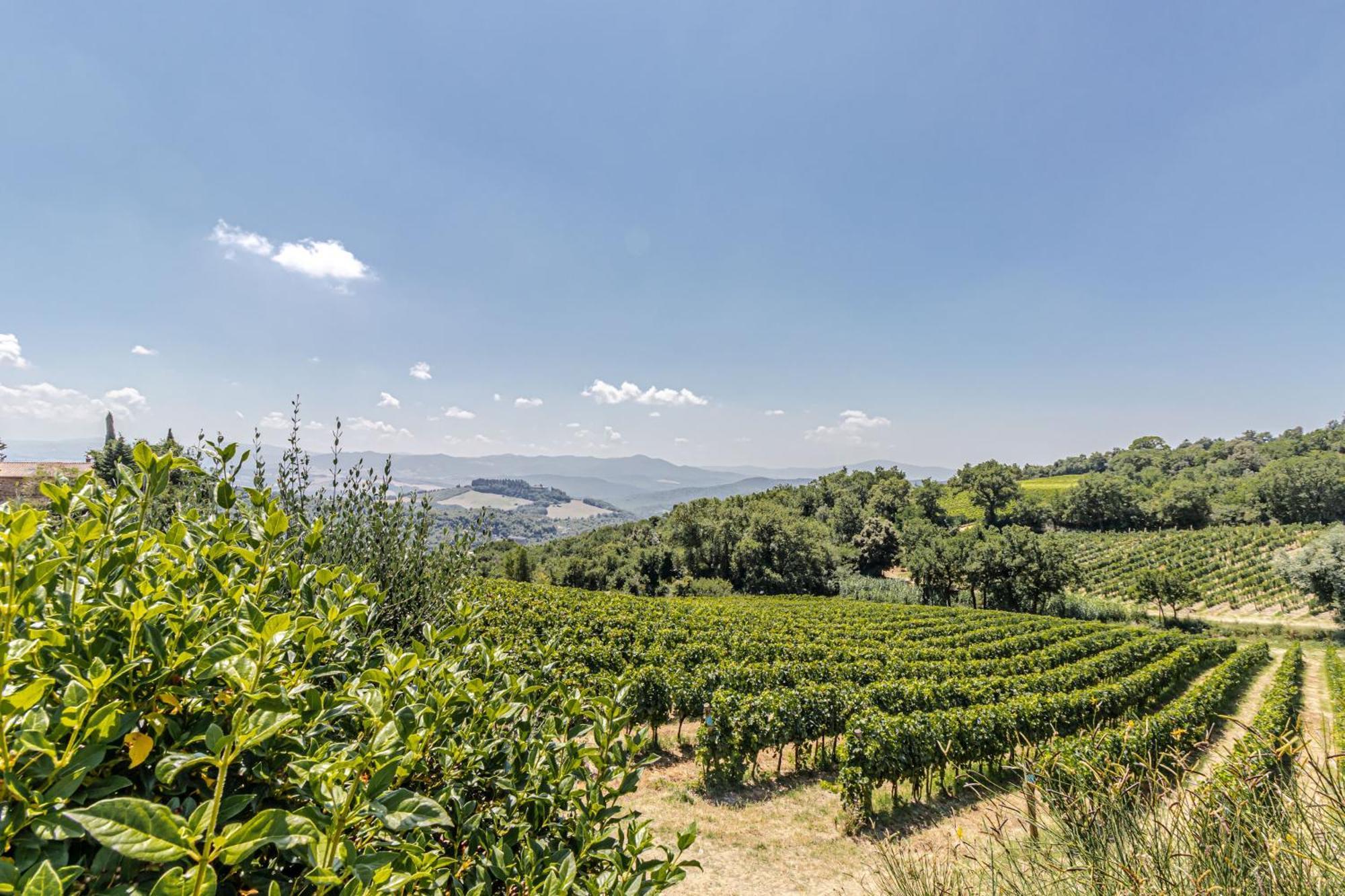 Chateau La Siroque Montecatini Val di Cecina Exteriör bild