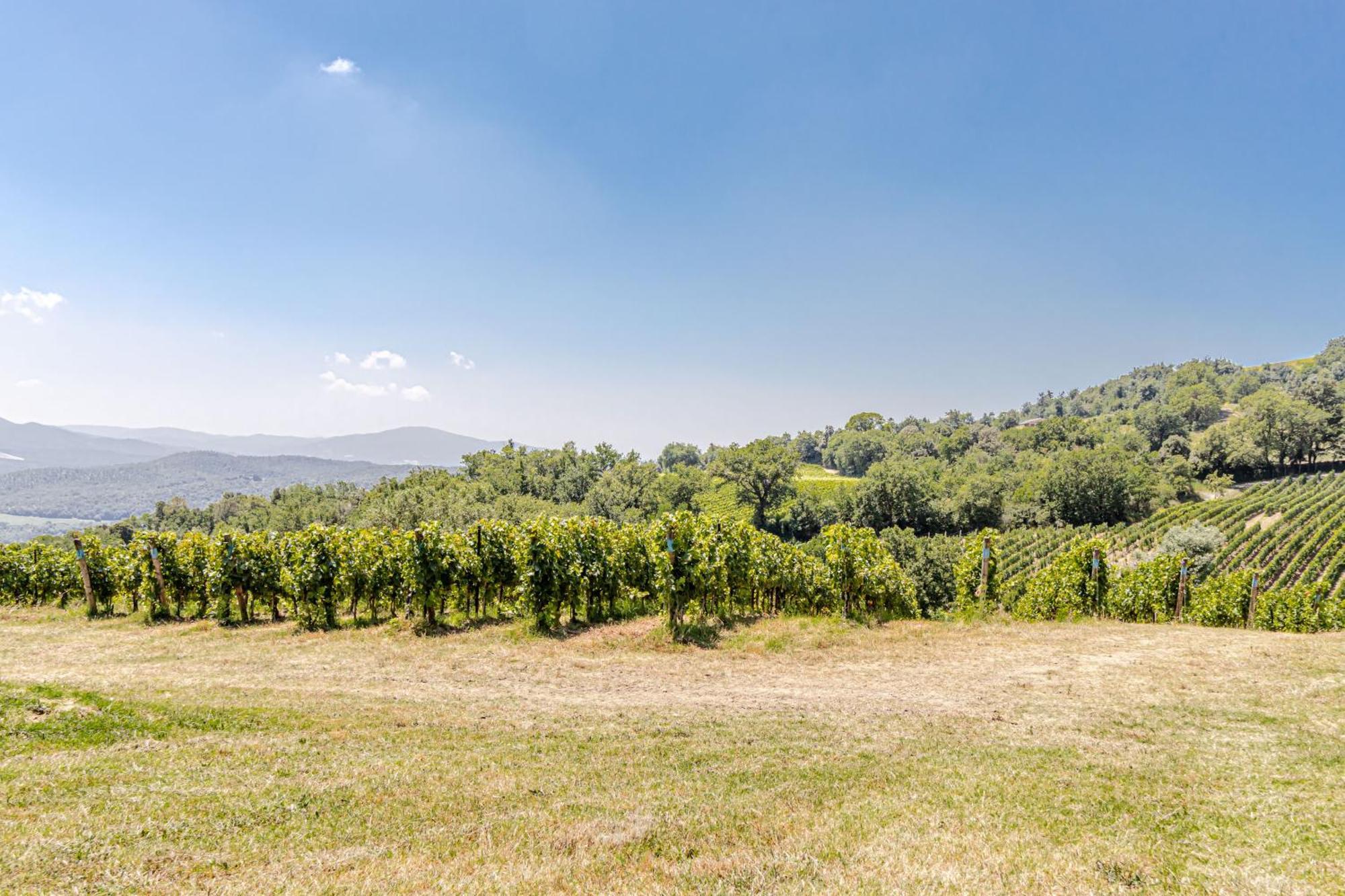 Chateau La Siroque Montecatini Val di Cecina Exteriör bild